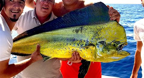 big game fishing europe|Big Game Fishing in Huelva: all you need to know.